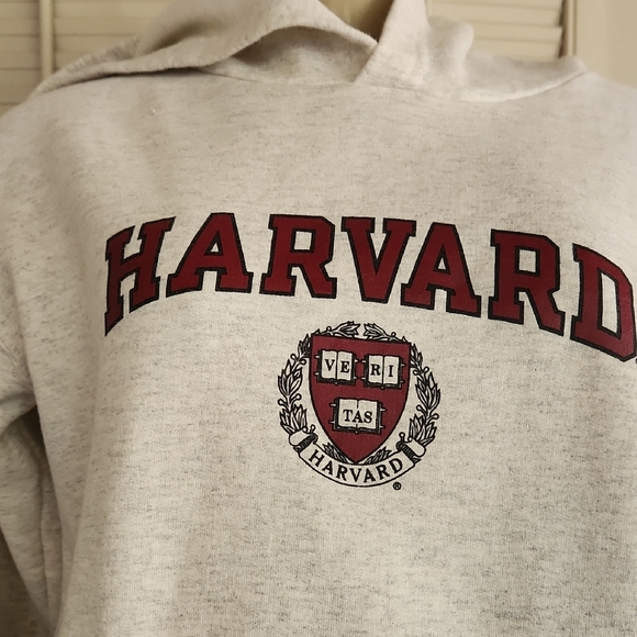 Harvard Beige Hoodie - Picture 2 of 7